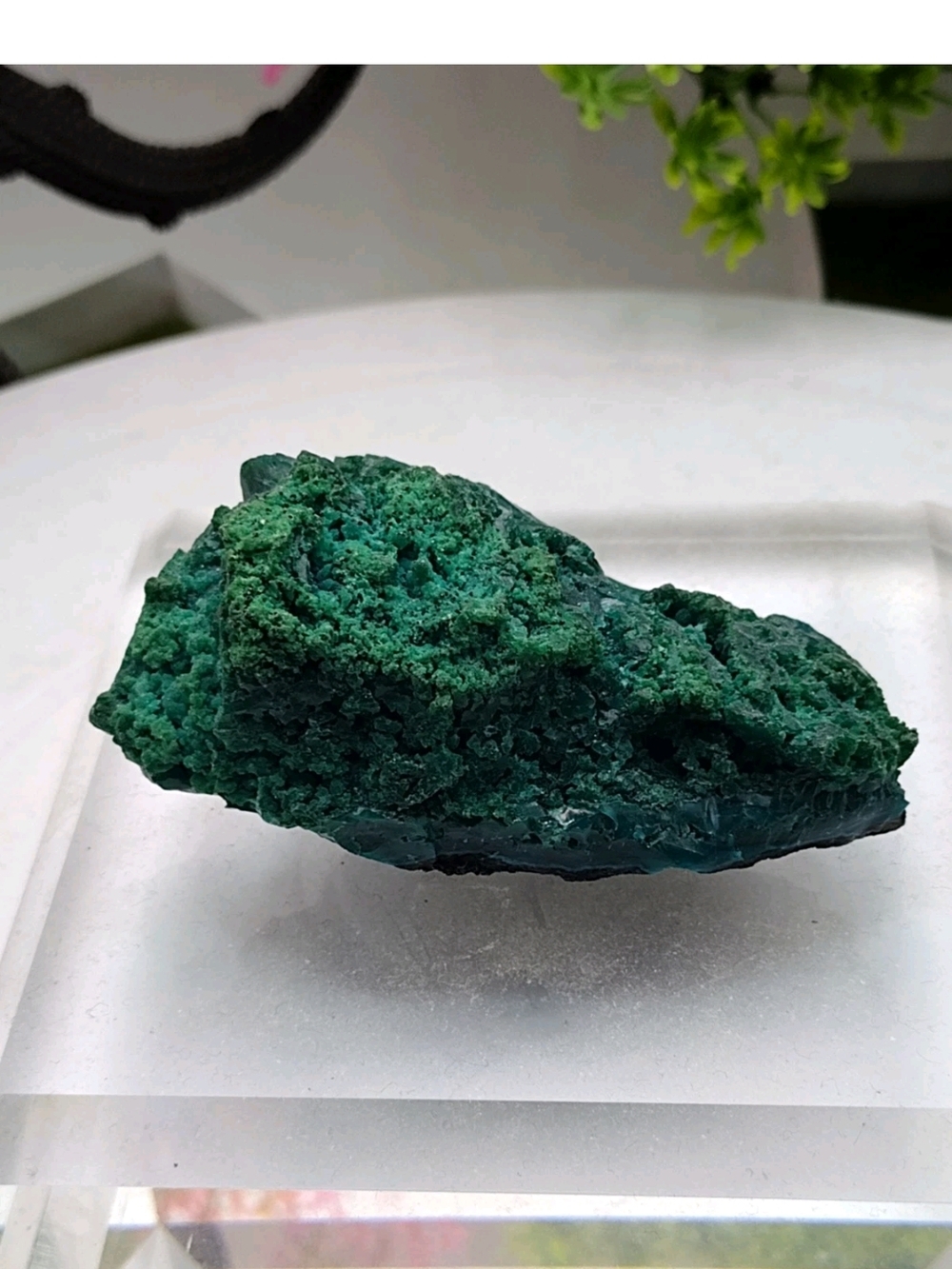 Spectacular Large Chrysocolla/Chalcedony Specimen 4 Inch